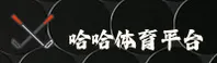 使用指南与常见问题